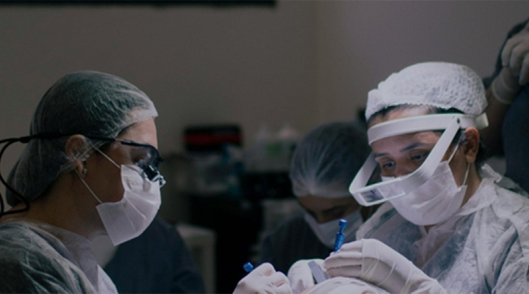 Microsurgery Tissue Transfer 