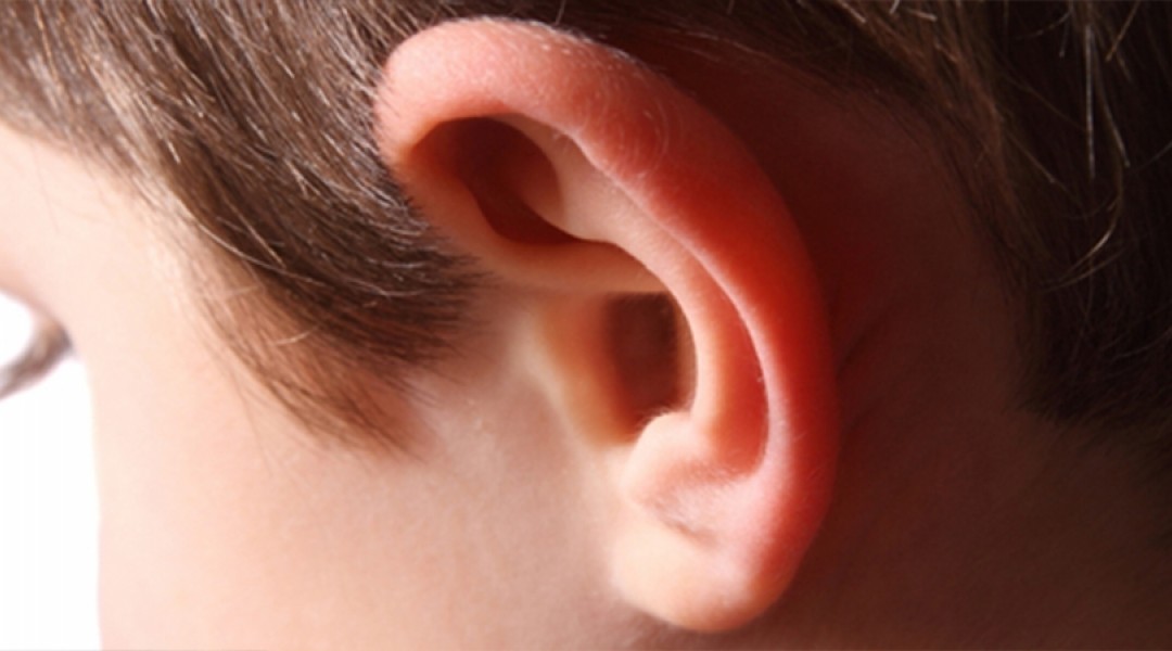 Ear Aesthetics